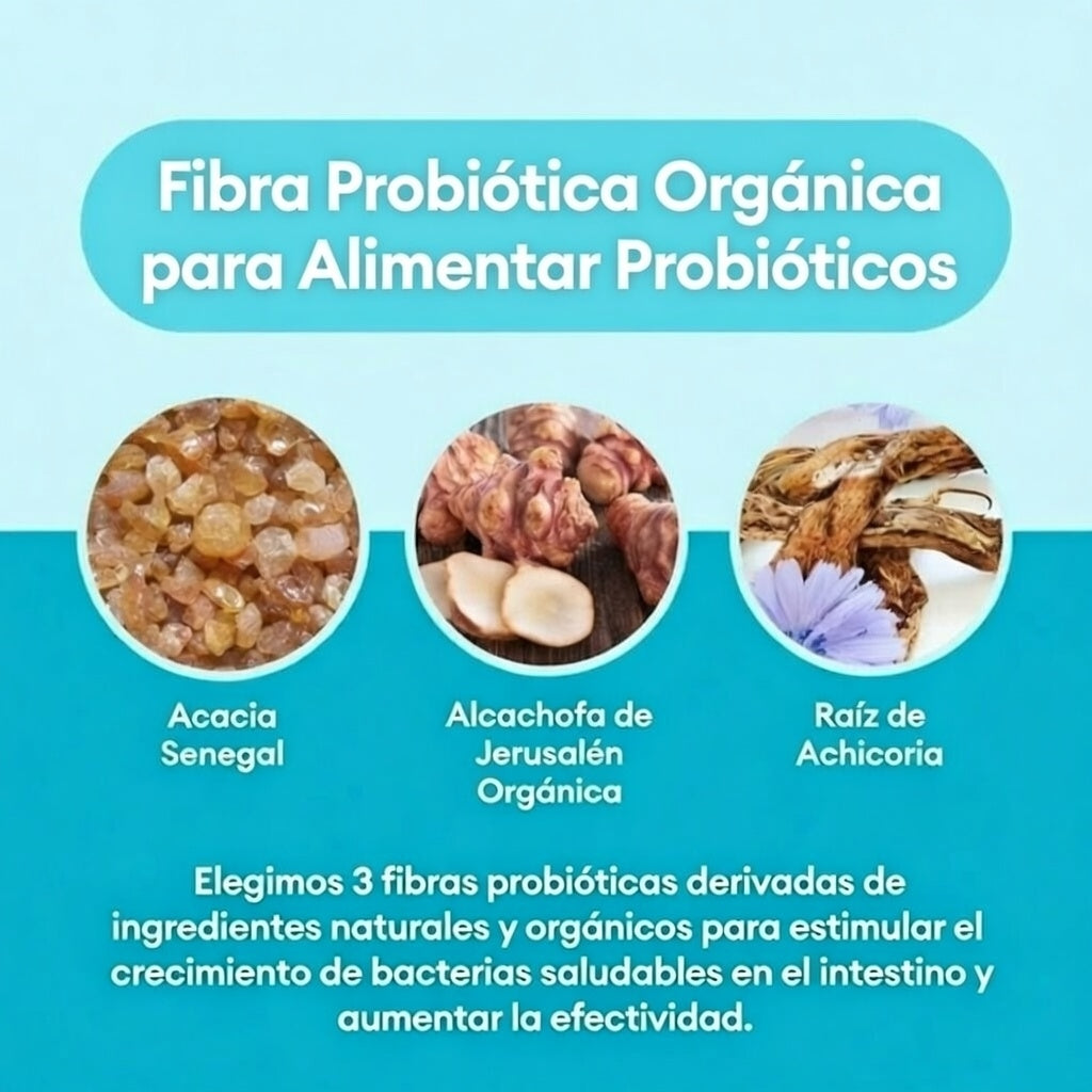 Enzimas Digestivas: renueva tu cuerpo y energía (  1 Probiótico incluido )